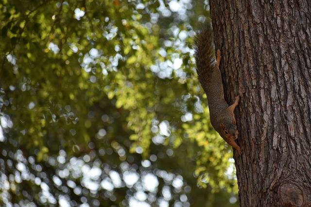 球员安全与 球员安全与