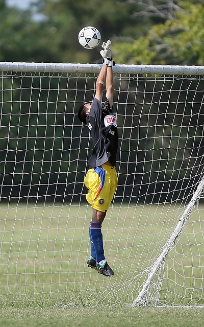 的团队合作 的团队合作