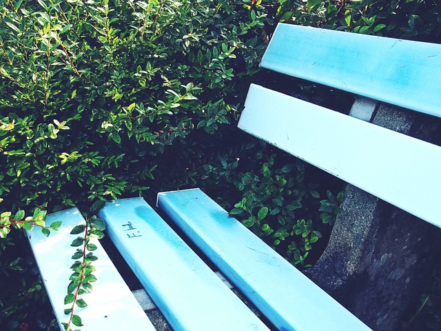 的管理和国 的管理和国