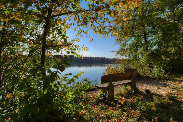 伦纳德不仅 伦纳德不仅