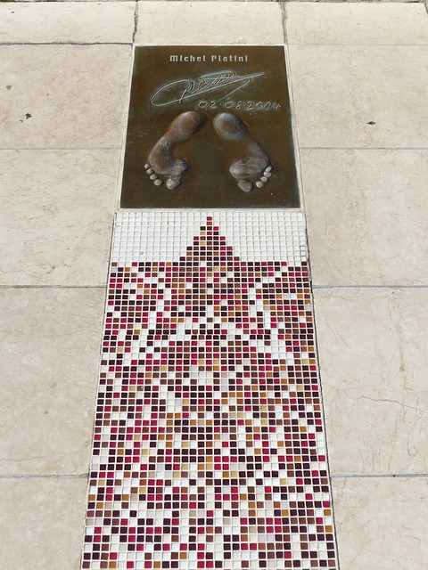 老队员因多 老队员因多